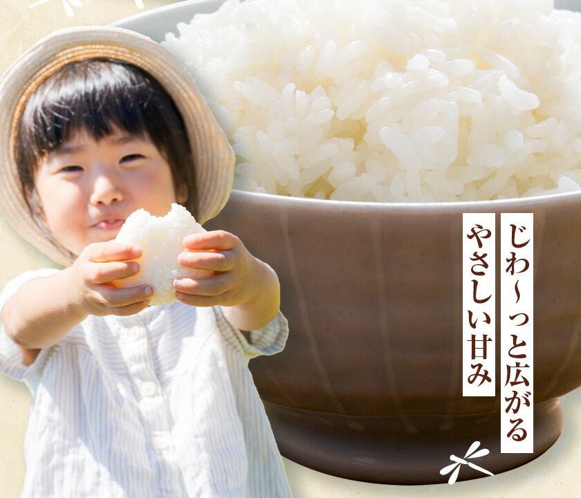 令和7年産 七城のこめ 精米 10kg(5kg×2袋) ヒノヒカリ ひのひかり 有限会社七城町特産品センター《30日以内に出荷予定(土日祝除く)》 熊本県 菊池市 定期便 お米 米 白米 九州産 熊本県産