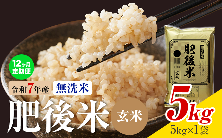 【12ヶ月定期便】熊本県産 肥後米 無洗米 玄米 5kg 1袋5kg 米 お米 令和7年産 九州産 熊本県産 ブレンド米 送料無料《お申込み翌月に出荷予定》玄米 無洗米 米