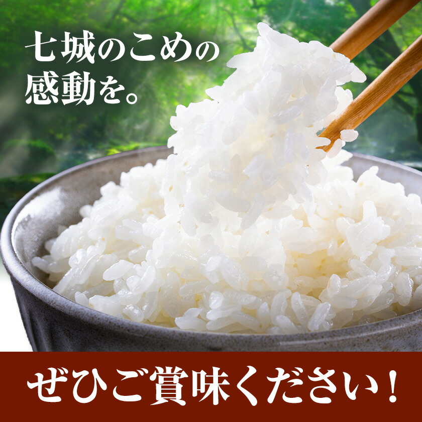 【5ヶ月定期便】令和7年産 七城のこめ 精米 5kg×2袋/月×5回 計50kg ヒノヒカリ ひのひかり 有限会社七城町特産品センター 《お申し込み月の翌月から出荷開始》 熊本県 菊池市 定期便 お米 米 白米 九州産 熊本県産