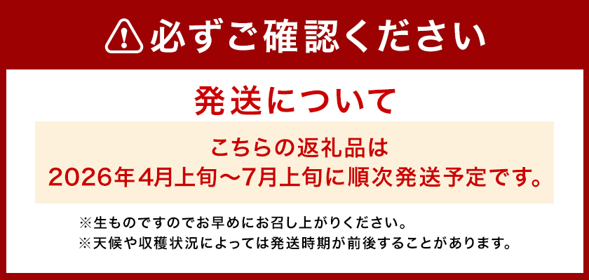 キンショーメロン 2kg(3〜6玉) メロン《4月上旬-7月上旬頃出荷》熊本県 菊池市 果物 フルーツ 金鐘 ノーネットメロン 黄色いメロン 菊池市産 熊本県産 九州産 送料無料