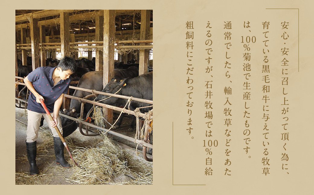 黒毛和牛 ヒレ・ シャトーブリアン ステーキ 約150g×4枚 合計 約600g 牛肉 牛