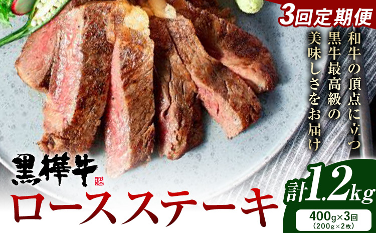 【3ヶ月定期便】牛肉 くまもと黒毛和牛 黒樺牛 A4-A5等級 ロースステーキ(1枚200g) 400g/月×3回 計1.2kg 杉本本店《お申し込み月の翌月から出荷開始》ステーキ 和牛 お肉 黒毛和牛 国産 九州産 熊本県産 冷凍  定期便 送料無料