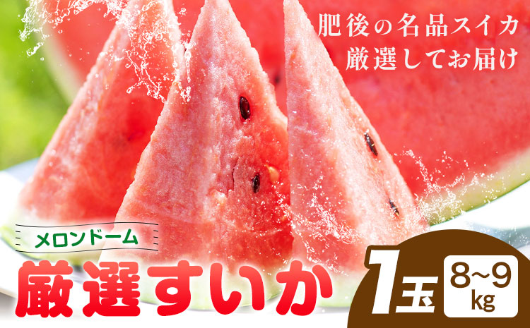 【先行予約】厳選すいか 1玉(8-9kg) 道の駅七城メロンドーム《5月中旬-6月中旬頃出荷》品種おまかせ ランダム 肥後漫遊 味で勝負iS 祭りばやし 果物 フルーツ スイカ 西瓜 九州産 熊本県産 送料無料