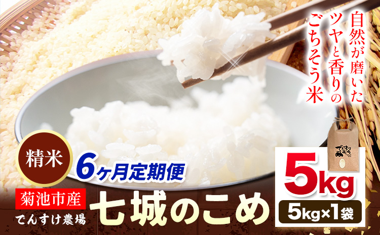 【6ヶ月定期便】令和7年産 精米 七城のこめ 5kg《お申込み翌月から出荷》熊本県 菊池市 米 白米 ヒノヒカリ でんすけ農場