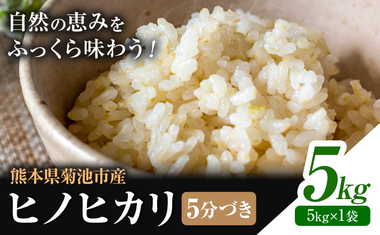 米 ヒノヒカリ 5分づき 5kg 内容量 1袋 5kg 合同会社くまもとごはん 《30日以内に出荷予定(土日祝除く)》 熊本県 菊池市 お米 分づき米 九州産 熊本県産 白米 無洗米 ひのひかり 送料無料
