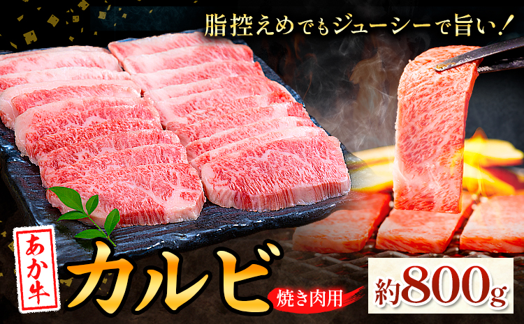 あか牛カルビ 焼き肉用 約800g 合同会社たべたせいか《30日以内に出荷予定(土日祝除く)》熊本県 菊池市 肉 牛肉 お肉 和牛 あか牛 焼き肉 焼肉 やきにく BBQ バーベキュー カルビ 熊本県産 冷凍 送料無料