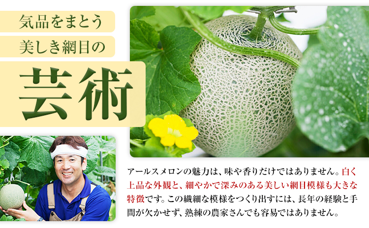 アールスメロン 1玉 2L以上【メロンドーム】 メロン 果物 フルーツ マスクメロン 九州産 熊本県産 送料無料《7月中旬-11月上旬頃出荷》