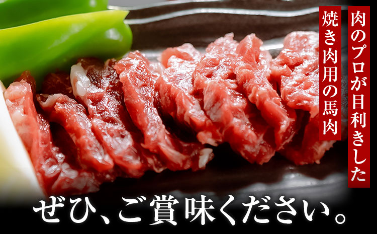 馬肉焼肉用 500g カット済 桜屋 《30日以内に出荷予定(土日祝除く)》 熊本県 菊池市 送料無料 肉 馬肉