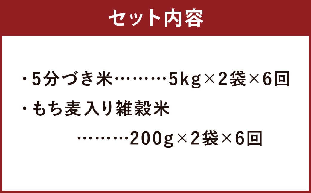 【定期便6ヵ月】熊本県菊池産 ヒノヒカリ 5分づき米 5kg×2袋 もち麦入り雑穀米 200g×2袋 計62.4kg