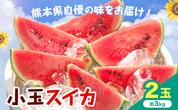 【先行予約】小玉スイカ 2玉 約3kg 日本フルーツ株式会社 《4月下旬-7月下旬頃出荷》 こだますいか 西瓜 すいか フルーツ 果物 くだもの 旬 熊本県 菊池市 熊本県産 くまもと