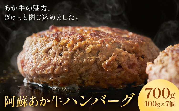 阿蘇あか牛ハンバーグ 700g 100g × 7個 株式会社LARKS《30日以内に出荷予定(土日祝除く)》ハンバーグ あか牛 牛肉 熊本県 冷凍 送料無料