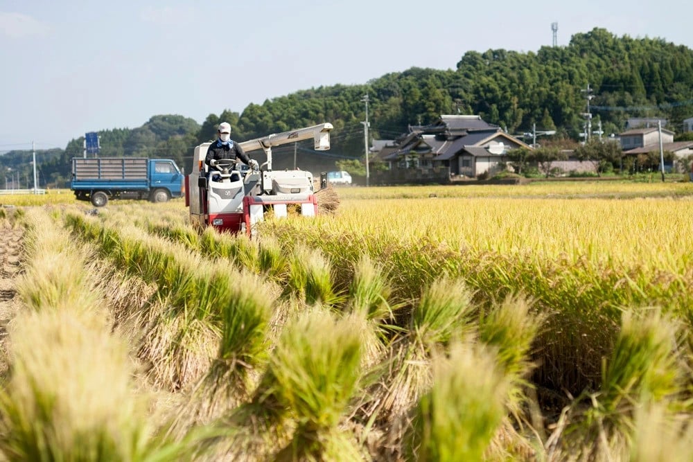 【令和6年産】 七城のお米 ヒノヒカリ 5kg 米 白米 精米 こめ コメ お米 ごはん ご飯 熊本県産