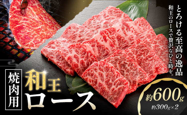 和王 ロース 焼肉用 約600g 約300g×2パック 菊池地域農業協同組合(JA菊池まんまキッチン)《90日以内に出荷予定(土日祝除く)》熊本県 菊池市 くまもと黒毛和牛 和牛 牛肉 お肉 焼き肉 熊本県産 九州産 国産 冷凍 送料無料