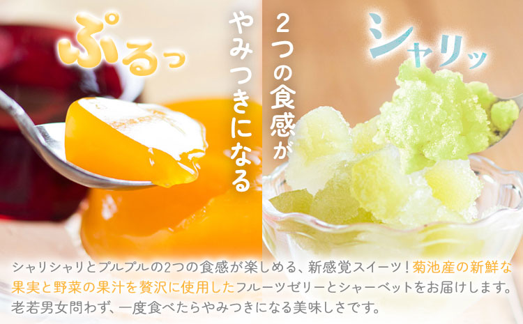 フルーツゼリー＆ゼリーシャーベットセット 各6個 合計12個 道の駅七城メロンドーム《30日以内に出荷予定(土日祝除く)》おやつ 洋菓子 ゼリーシャーベット いちご ブルーベリー マンゴー メロン 梨 トマト 送料無料
