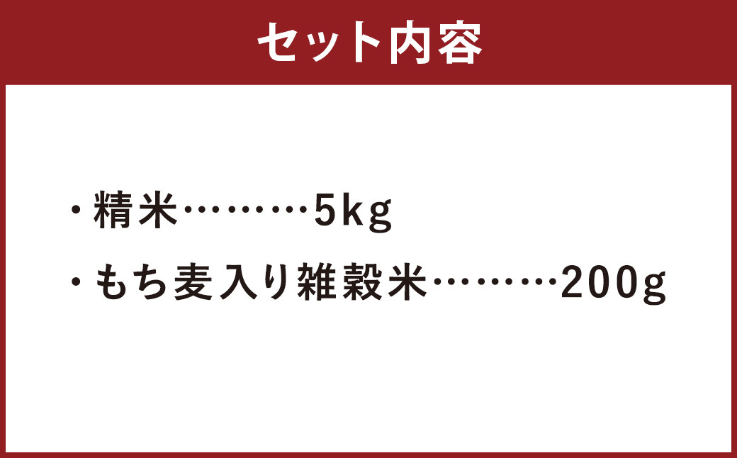 熊本県菊池産 ヒノヒカリ 精米 5kg もち麦入り雑穀米 200g 米 お米 低温保管 残留農薬ゼロ