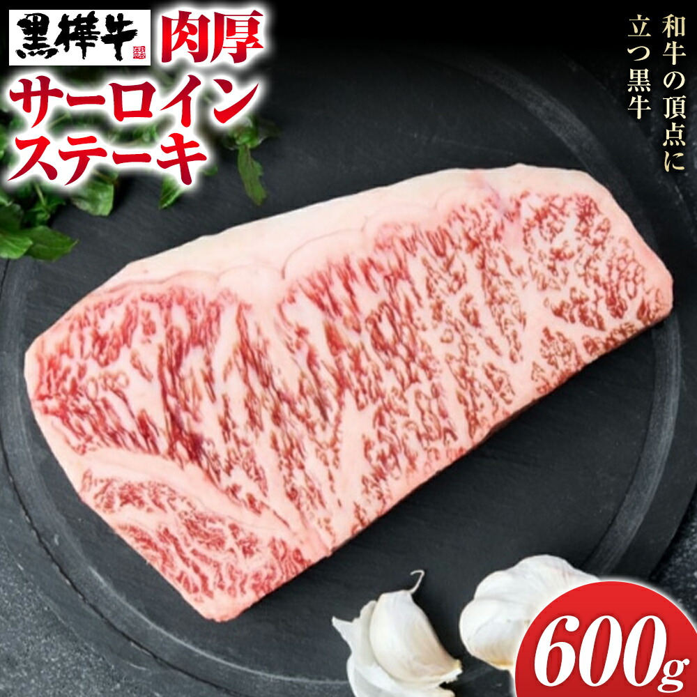 くまもと黒毛和牛 黒樺牛 A4〜A5等級 肉厚サーロインステーキ 600g 株式会社杉本本店 《90日以内に出荷(土日祝除く)》熊本県 菊池市 特大 牛肉 牛 肉厚 お肉 ステーキ 黒毛和牛 国産 九州産 熊本県産 冷凍 送料無料