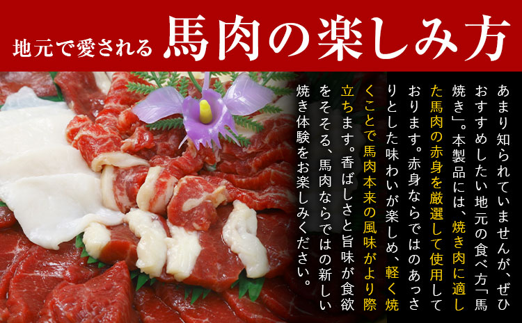 馬肉焼肉用 500g カット済 桜屋 《30日以内に出荷予定(土日祝除く)》 熊本県 菊池市 送料無料 肉 馬肉
