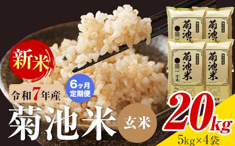 【6ヶ月定期便】熊本県産 菊池米 玄米 20kg 1袋5kg 米 お米 令和7年産 九州産 熊本県産 送料無料《お申込み翌月に出荷予定》玄米 米