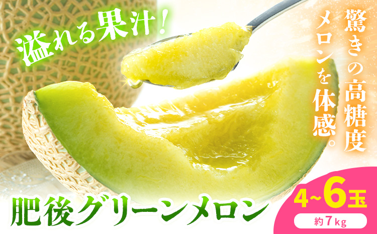 【先行予約】肥後グリーンメロン 4〜6玉 約7kg 日本フルーツ株式会社《5月上旬-7月下旬頃出荷》熊本県 菊池市 メロン 熊本県産