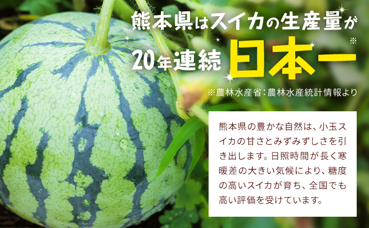 ãå
è¡äºçŽãå°çã¹ã€ã« 1ç çŽ1.5kg æ¥æ¬ãã«ãŒãæ ªåŒäŒç€Ÿ ã4æäžæ¬-7æäžæ¬é åºè·ã ãã ãŸããã 西ç ããã ãã«ãŒã æç© ãã ãã® æ¬ çæ¬ç èæ± åž çæ¬çç£ ããŸããš