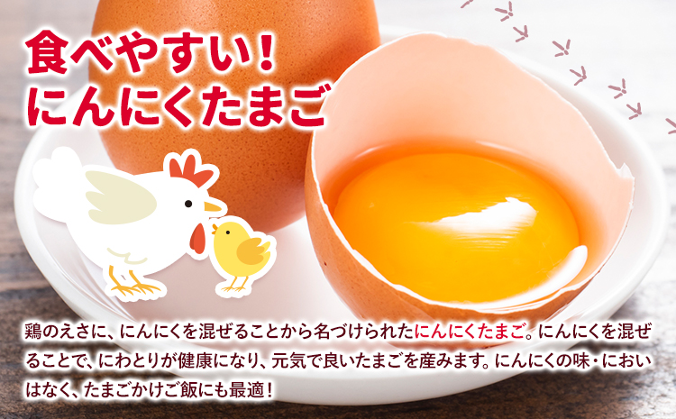 旬の野菜とたまごのセットメロンドーム 野菜 卵 にんにくたまご 卵 詰め合わせ 有限会社七城町特産品センター《30日以内に出荷予定(土日祝除く)》熊本県 菊池市 セット 新鮮 国産 九州産 熊本県 菊池市 道の駅 旬 送料無料