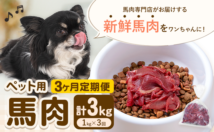 【3ヶ月定期便】ペット用馬肉 1kg × 3回 計3kg 五右衛門フーズ《申込月の翌月から出荷開始》 ペット用 犬用 肉 馬肉 熊本県 菊池市