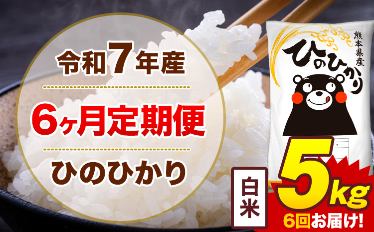 【6ヶ月定期便】令和7年産 白米 5kg 米 ひのひかり《お申込み月の翌月から出荷開始》熊本県 菊池市 国産 熊本県産 白米 精米 無洗米 送料無料 ヒノヒカリ こめ お米