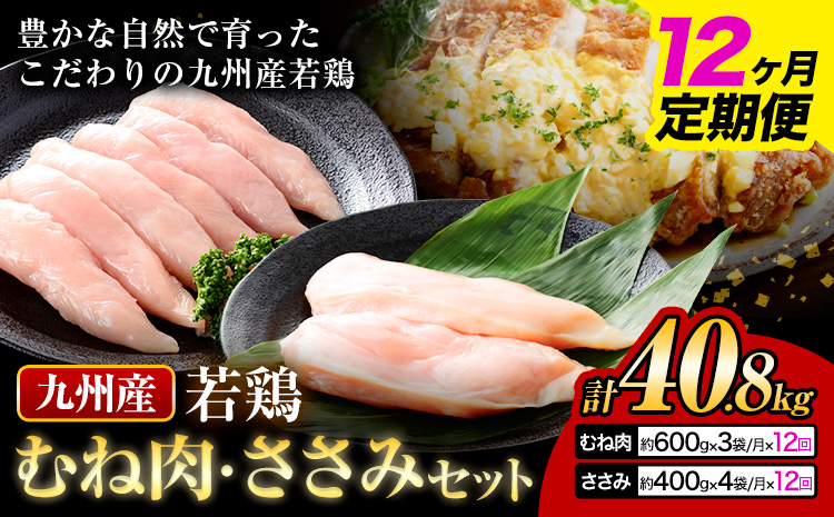 ã12ã¶æå®æäŸ¿ã ä¹å·ç£ ããèïŒ600gÃ3è¢ïŒã»ããã¿ïŒ400gÃ4è¢ïŒé¶è ãè ã ãè 2çš®é¡ å°åã å·å è©°ãåãã ä¹å·ç£ åœç£ çæ¬ç èæ± åž éæç¡æããç³èŸŒã¿ç¿æããåºè·ã