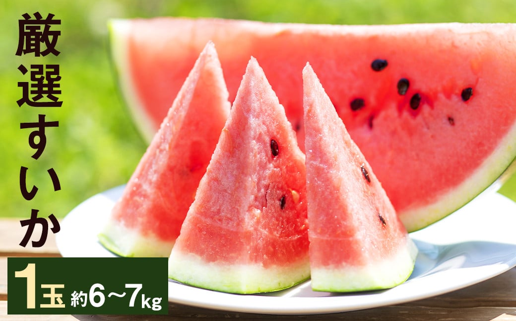 厳選 すいか 1玉 6kg〜7kg メロンドーム 《2026年5月上旬より発送》