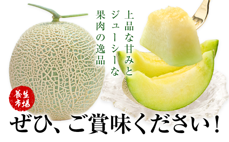 アールスメロン 約2kg×3玉 特選 (約6kg)【養生市場】メロン 果物 フルーツ マスクメロン 九州産 熊本県産 送料無料 《2026年10月中旬-11月中旬頃出荷予定》
