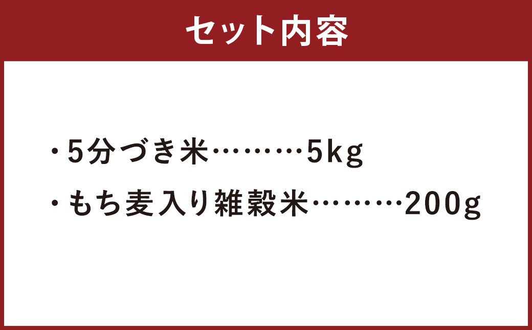 熊本県菊池産 ヒノヒカリ 5分づき米 5kg もち麦入り雑穀米 200g 計5.2kg