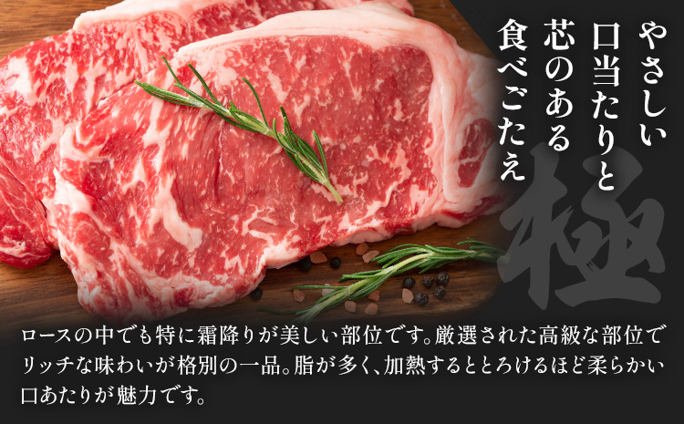 阿蘇あか牛 サーロイン 合計約500g 約100g×5袋 株式会社LARKS《30日以内に出荷予定(土日祝除く)》お肉 和牛 あか牛 ステーキ 熊本県産 九州産 国産 冷凍 送料無料