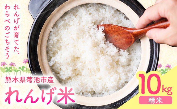 辭頑悽逵瑚所豎蟶ら肇縺ョ繧後s縺堤アウ 10kg 縲30譌・莉・蜀縺ォ蜃コ闕キ莠亥ョ(蝨滓律逾晞勁縺)縲 邊セ邀ウ譁ケ豕 邊セ邀ウ 縺顔アウ 逋ス邀ウ 繝ャ繝ウ繧イ邀ウ 辭頑悽逵檎肇 荵晏キ樒肇 騾∵侭辟。譁