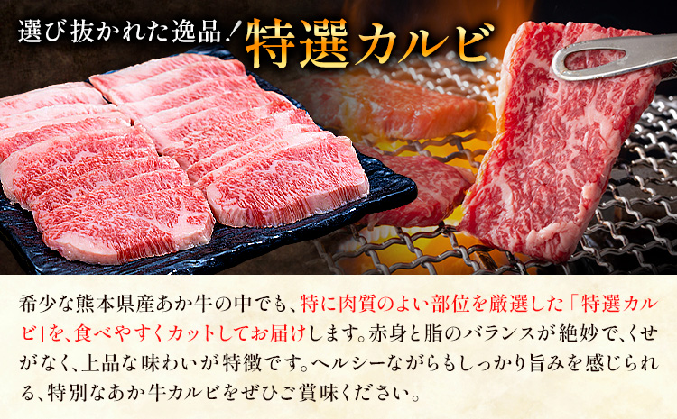熊本あか牛 特選カルビ 約500g 合同会社たべたせいか《30日以内に出荷予定(土日祝除く)》熊本県 菊池市 肉 牛肉 お肉 和牛 あか牛 焼き肉 焼肉 やきにく BBQ バーベキュー 特選 カルビ 熊本県産 冷凍 送料無料