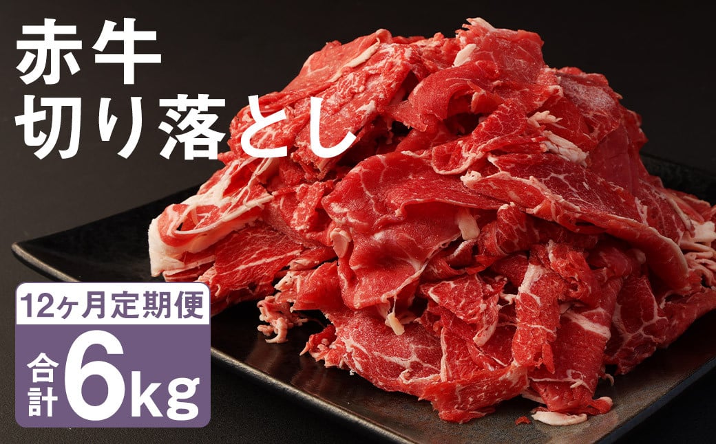 【12ヶ月定期便】赤牛 切り落とし 500g×1パック×12回 お肉 肉 牛肉 あか牛 切落し 熊本 定期 冷凍