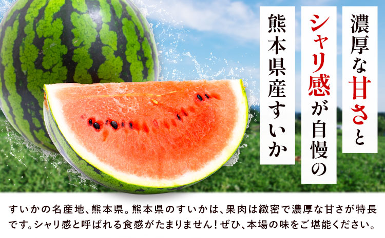 【先行予約】厳選すいか 2玉(1玉あたり6-7kg) 道の駅七城メロンドーム《5月中旬-6月中旬頃出荷》品種おまかせ ランダム 肥後漫遊 味で勝負iS 祭りばやし 果物 フルーツ スイカ 西瓜 九州産 熊本県産 送料無料