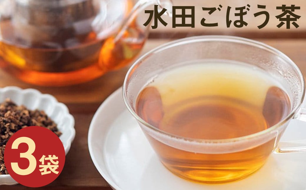 水田 ごぼう茶 合計240g（80g×3袋）農薬不使用 化学肥料不使用 お茶