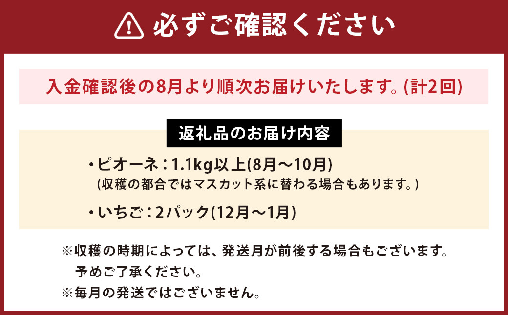 【2回発送】旬の味覚フルーツ定期便（ぶどう・いちご）品種おまかせ 果物