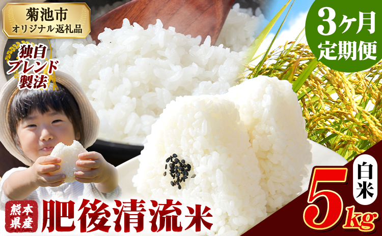 【3ヶ月定期便】熊本県産 肥後清流米 白米 5kg ブレンド米 熊本県産 ふるさと納税 精米 米 こめ ふるさとのうぜい コメ お米 おこめ《お申込み翌月から出荷》