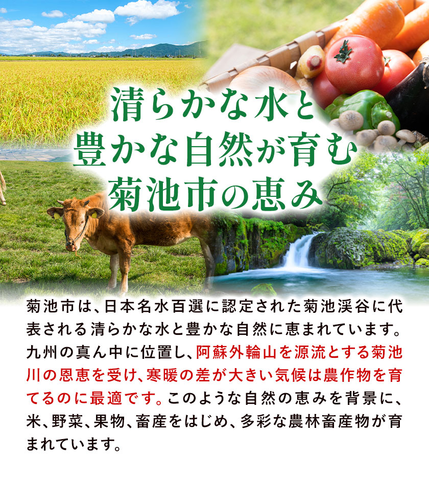 ã¹ã€ãŒãã³ãŒã³ã»ãã 8-10æ¬ãé€çåžå Žã ã³ãŒã³ ãšããããã åçš®ããŸãã ã©ã³ãã éè ä¹å·ç£ çæ¬çç£ éæç¡æã5æäžæ¬-6ææ«é åºè·ã