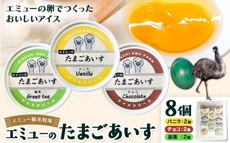 エミューのたまごアイス 8個入り エミュー観光牧場 《30日以内に出荷予定(土日祝除く)》 熊本県 菊池市 卵 たまご エミュー 食用卵 アイス デザート 国産 熊本県産 産地直送 送料無料