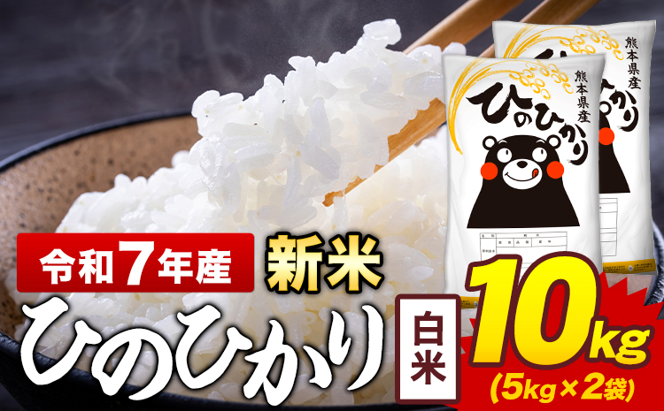 新米 令和7年産 白米 米 ひのひかり 10kg《7-14日以内に出荷予定(土日祝除く)》熊本県 菊池市 国産 熊本県産 白米 精米 送料無料 ヒノヒカリ こめ お米