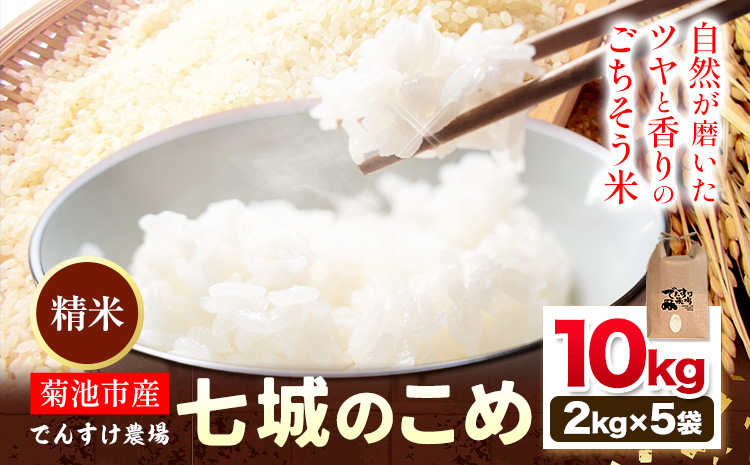 令和7年産 精米 七城のこめ 10kg《30日以内に出荷予定(土日祝除く)》熊本県 菊池市 米 白米 ヒノヒカリ でんすけ農場