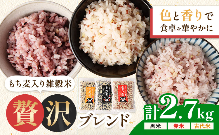 もち麦入り雑穀米 贅沢ブレンド 450g×3種類 各2袋 合同会社くまもとごはん《30日以内に出荷予定(土日祝除く)》熊本県菊池産 残留農薬不検出 真空パック 便利なチャック付 お米 もち麦 雑穀米 セット 九州産 熊本県産 菊池市産 送料無料
