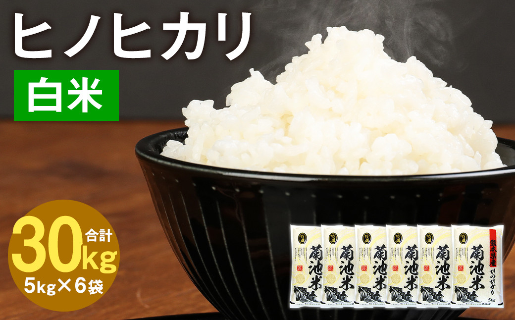 熊本県菊池産 ヒノヒカリ 5kg×6袋 計30kg 精米 お米 白米 令和6年産