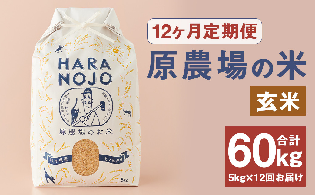 【12ヶ月定期便】原農場の米（玄米） 5kg 計60kg お米 米 こめ コメ 玄米 ヒノヒカリ ひのひかり ごはん ご飯 熊本県産 国産