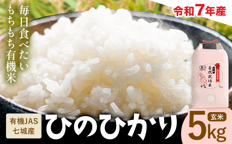 令和7年産 有機JAS 七城産ひのひかり 玄米 5kg《30日以内に出荷予定(土日祝除く)》 渡辺農産 熊本県 菊池市 米 お米 精米 ひのひかり 菊池市産 熊本県産 九州産 送料無料