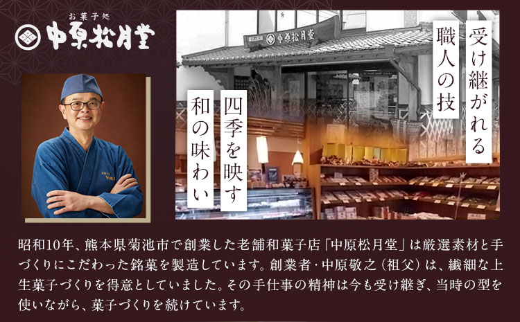 菊池銘菓 ブッセシリーズ 詰め合わせセット 1箱12個入り 3種×各4個 有限会社中原松月堂《30日以内に出荷予定(土日祝除く)》熊本県 菊池市 和菓子 洋菓子 お菓子 焼き菓子 菓子折り 銘菓 抹茶 メロン デコポン ブッセ デザート スイーツ