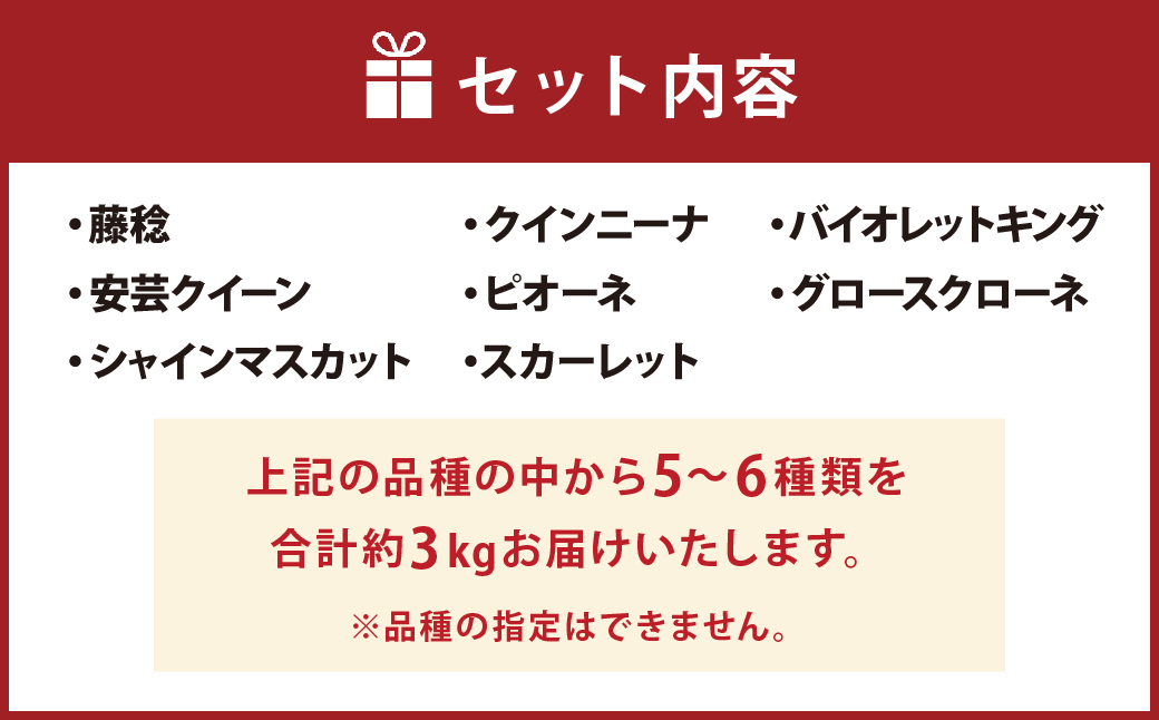 【8月上旬発送開始】なにが届くかお楽しみ 彩り ぶどう セット 約3kg 葡萄 ブドウ マスカット 