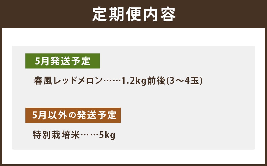 【6回定期便】つるたファームまるごと定期便 Red (特別栽培米 5kg・春風レッドメロン 1.2kg前後)